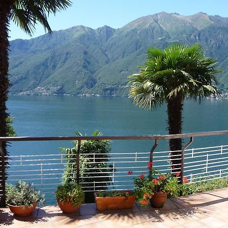 شقة Casa Roccia Pino Lago Maggiore المظهر الخارجي الصورة
